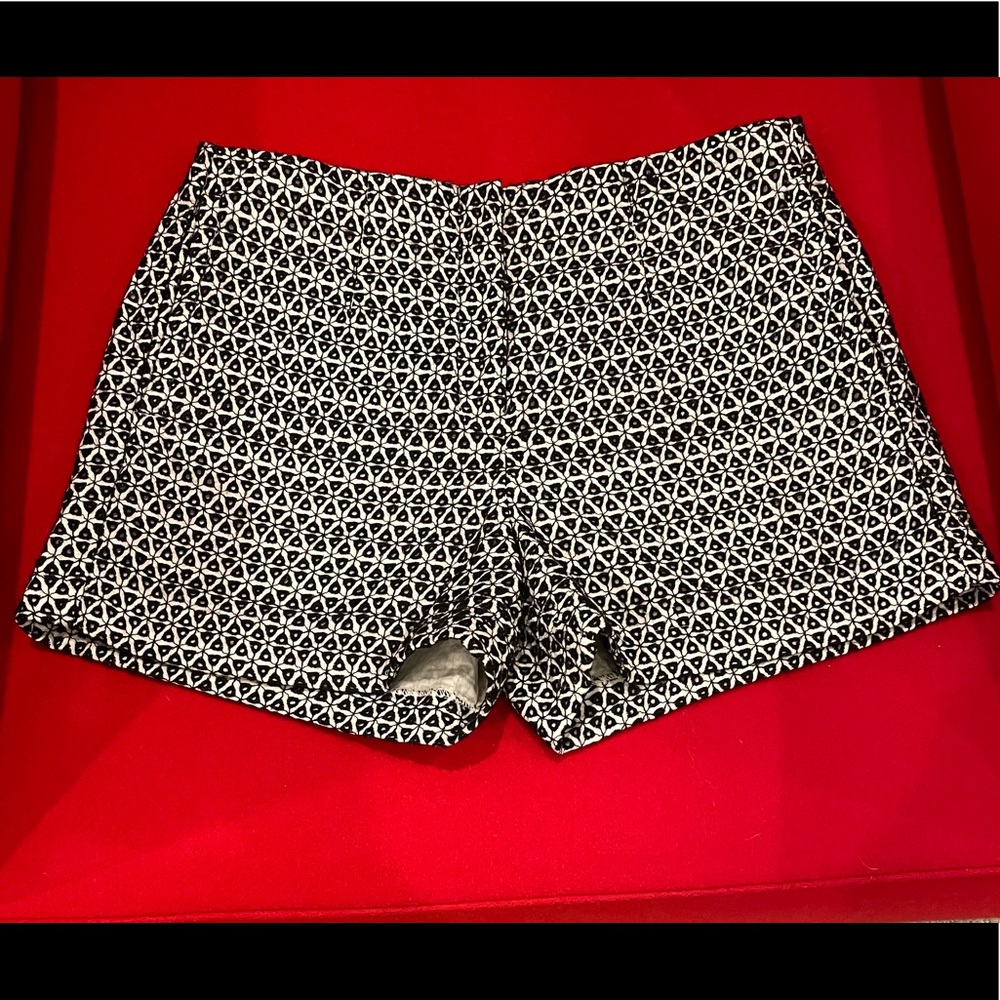 J Crew Embroidered Shorts